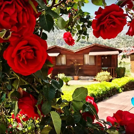 Ada Adrasan * Kumluca