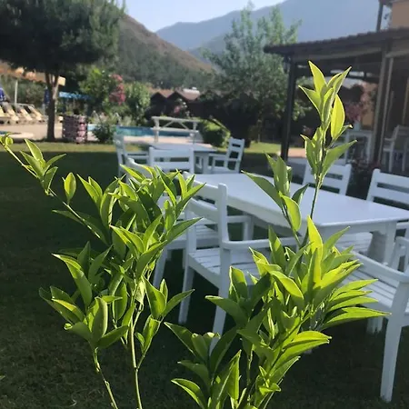 Ada Adrasan Hotell *